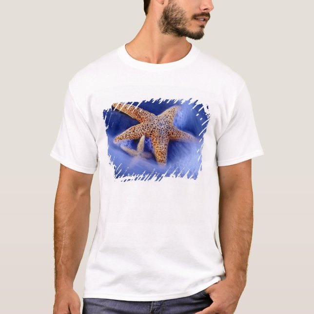 Camiseta EE. UU., Carolina del Sur, Isla Hilton Head. Dos (Anverso)