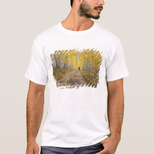 Camiseta EE. UU., Colorado, Bosque Nacional Gunnison cerca