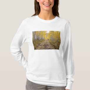 Camiseta EE. UU., Colorado, Bosque Nacional Gunnison cerca