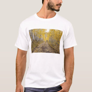 Camiseta EE. UU., Colorado, Bosque Nacional Gunnison cerca