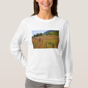 Camiseta EE. UU., Colorado, Bosque Nacional San Juan, a lo