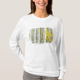 Camiseta EE. UU., Colorado, Bosque Nacional White River,