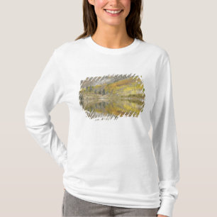 Camiseta EE. UU., Colorado, Bosque Nacional White River, 2