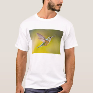 Camiseta EE. UU., Colorado, condado de Summit, Heeney. Vist