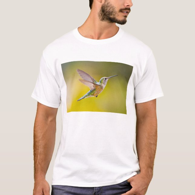 Camiseta EE. UU., Colorado, condado de Summit, Heeney. Vist (Anverso)