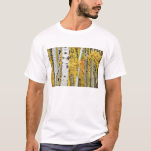 Camiseta EE. UU., Colorado, Montañas Rocosas. Aspen íntimo