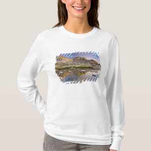 Camiseta EE. UU., Colorado, Parque Nacional Montañas Rocosa