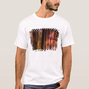 Camiseta EE. UU., DC, Washington, Catedral Nacional de Wash