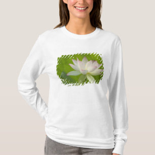 Camiseta EE. UU., DC, Washington, Kenilworth Acuático