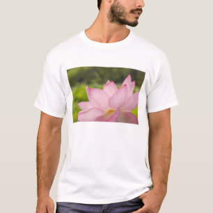 Camiseta EE. UU., DC, Washington, Kenilworth Acuático 2
