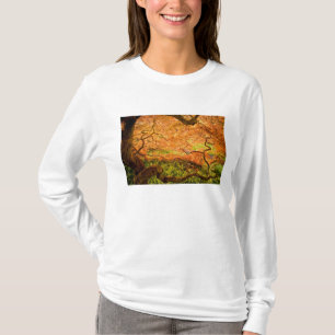 Camiseta EE. UU., Delaware, Wilmington. Arce japonés