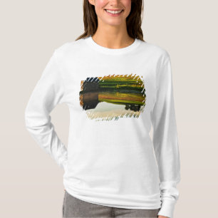 Camiseta EE. UU., Delaware, Wilmington. Granero de piedra e
