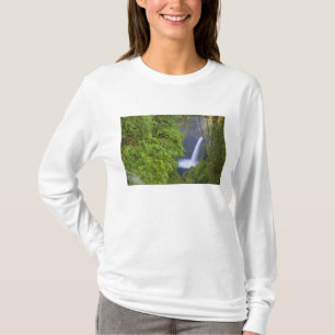 Camiseta EE. UU., Eagle Creek, Columbia Gorge, Oregon. 2
