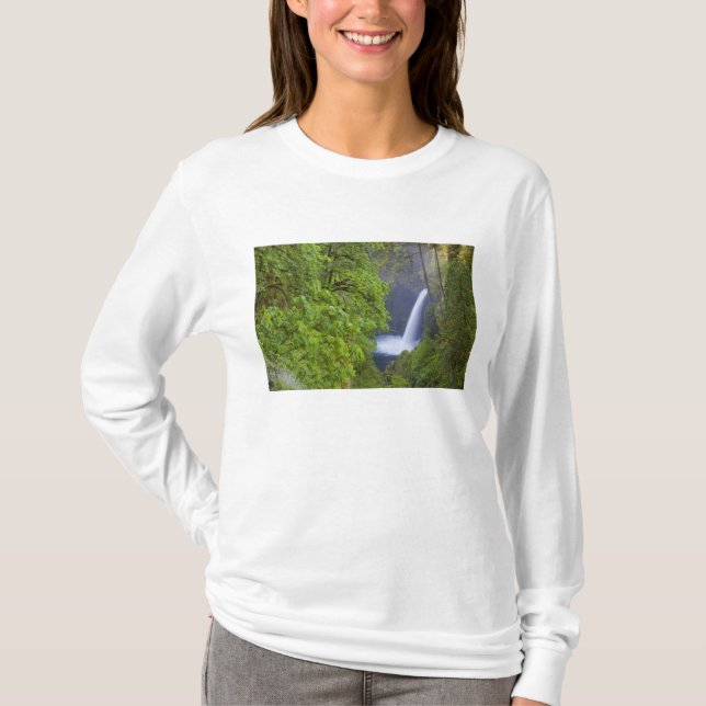 Camiseta EE. UU., Eagle Creek, Columbia Gorge, Oregon. 2 (Anverso)