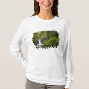 Camiseta EE.UU., Eagle Creek, Columbia Gorge, Oregón.3