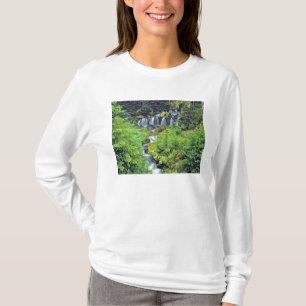 Camiseta EE. UU., Estado de Washington, Desierto de Mt Adam