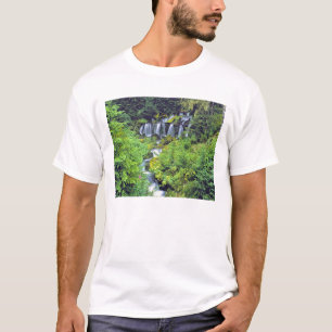 Camiseta EE. UU., Estado de Washington, Desierto de Mt Adam