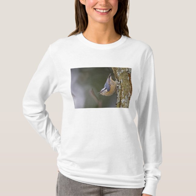 Camiseta EE.UU., Estado de Washington, Nuthatch de paliza r (Anverso)