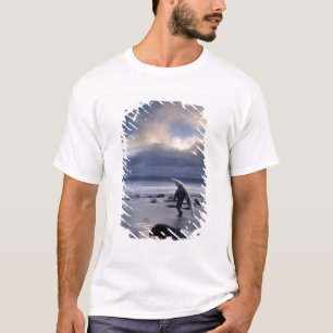 Camiseta EE. UU., Estado de Washington, Parque Nacional Olí