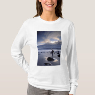 Camiseta EE. UU., Estado de Washington, Parque Nacional Olí