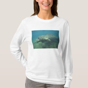 Camiseta EE. UU., FL, Manatí