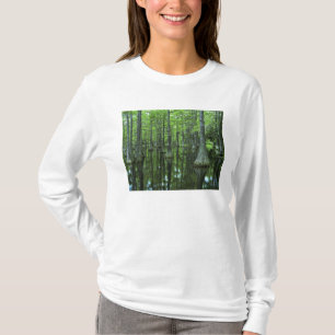 Camiseta EE. UU., Florida, Bosque Nacional Apalachicola, Ca