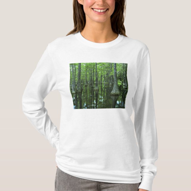 Camiseta EE. UU., Florida, Bosque Nacional Apalachicola, Ca (Anverso)