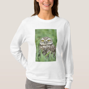 Camiseta EE. UU., Florida, Cape Coral, Lechuza de Minería (