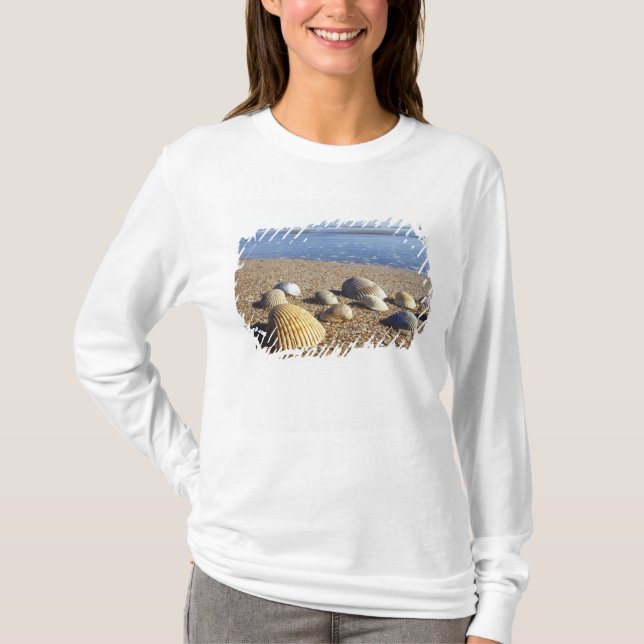 Camiseta EE. UU., Florida, conchas marinas costeras (Anverso)