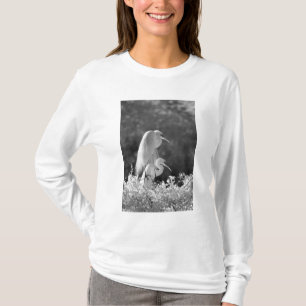 Camiseta EE. UU., Florida, Gran Garza (Ardea alba) infrarro