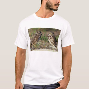 Camiseta EE. UU., Florida, Isla Sanibel. Primer plano de