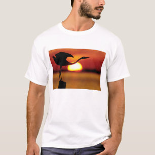 Camiseta EE. UU., Florida, San Petersburgo, Fort De Soto