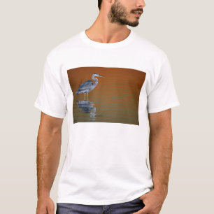 Camiseta EE. UU., Florida, San Petersburgo, Fort De Soto 2