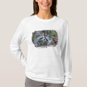 Camiseta EE. UU., Florida, Sanibel, Ding Darling Nacional
