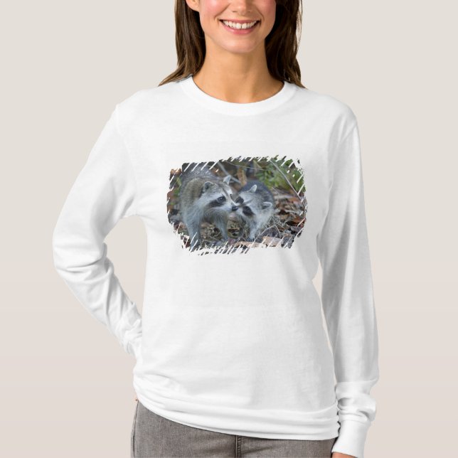 Camiseta EE. UU., Florida, Sanibel, Ding Darling Nacional (Anverso)