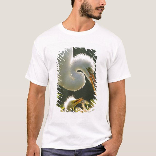 Camiseta EE. UU., Florida, St. Augustine, granja de caimane (Anverso)