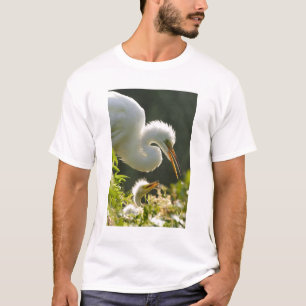 Camiseta EE. UU., Florida, St. Augustine, granja de caimane