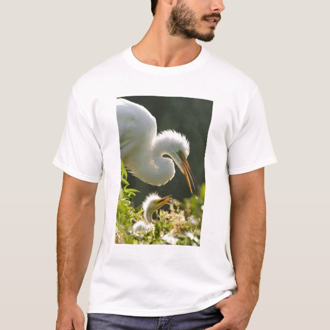 Camiseta EE. UU., Florida, St. Augustine, granja de caimane (Anverso)
