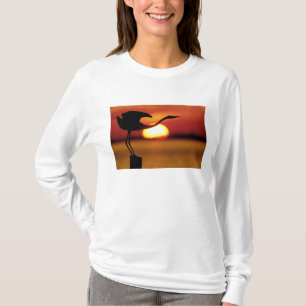 Camiseta EE. UU., Florida, St. Petersburg, Fort De Soto