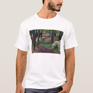 Camiseta EE. UU., Georgia, Callaway Gardens. Camino