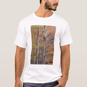 Camiseta EE. UU., Georgia, George Smith State Park, ciprés
