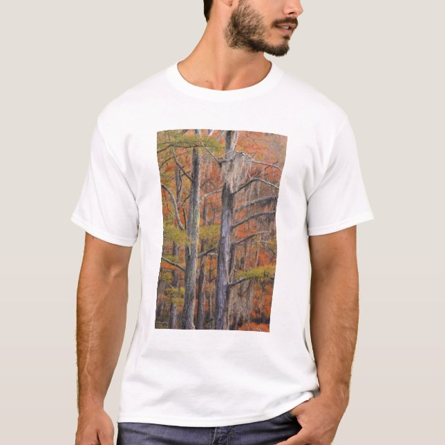Camiseta EE. UU., Georgia, George Smith State Park, ciprés (Anverso)