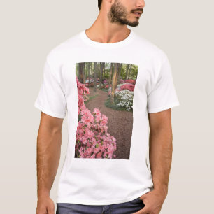 Camiseta EE. UU., Georgia, Pine Mountain. Un camino a travé
