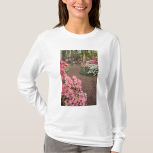 Camiseta EE. UU., Georgia, Pine Mountain. Un camino a travé