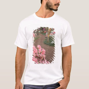 Camiseta EE. UU., Georgia, Pine Mountain. Un camino a travé