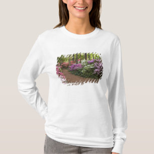 Camiseta EE. UU., Georgia, Pine Mountain. Un camino a travé