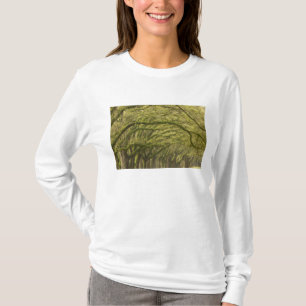 Camiseta EE.UU.; Georgia; Savannah. Árboles de roble con