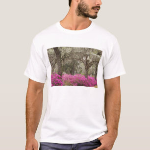 Camiseta EE. UU., Georgia, Savannah, Primavera en Historic