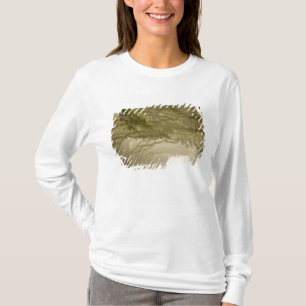 Camiseta EE. UU., Georgia, Savannah, un camino bordeado de