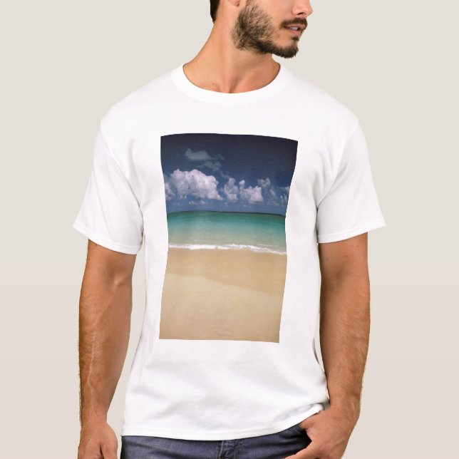 Camiseta EE. UU., Hawái. Escena de playa (Anverso)